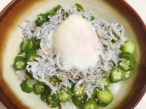 食欲がない時にも♪しらすオクラ丼